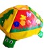 TIA-SPORT Turtle didactic module, assorted