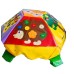 TIA-SPORT Turtle didactic module, assorted
