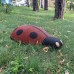 Поліуретанове виріб Божа корівка