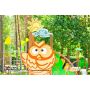 Play complex "Stream" (canant ladder and decorative panel "Owl") TE701.3
