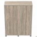 Locker cabinet SIG-605 (1450x550x1900mm) Black graphite/Smoked Liberty Elm/White