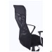 Ultra chair, A-1 seat / black mesh back, black Skaden insert