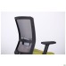 Uran Black chair, Sydney-17 seat / HY-109 grey mesh back