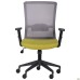 Uran Black chair, Sydney-17 seat / HY-109 grey mesh back