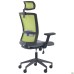 Uran Black HR chair, Nest-08 grey seat / SL-06 green mesh back