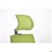 Lead Black HR chair, black Нест-01 seat / lime SL-06 mesh back