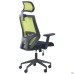 Lead Black HR chair, black Нест-01 seat / lime SL-06 mesh back