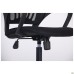 Web chair, A-1 seat/black mesh back