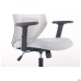 Lead Black HR chair, light grey Нест-19 seat / light grey SL-01 mesh back
