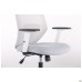 Lead White chair, light grey Нест-19 seat / light grey SL-01 mesh back