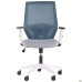 Lead White chair, light grey Нест-19 seat / aquamarine SL-18 mesh back