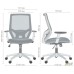 Lead White chair, light grey Нест-19 seat / aquamarine SL-18 mesh back