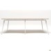 Delta DL-104 workstation + USB (2380x1200x750mm) Blackwood barley / white frame