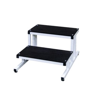Double rehabilitation step SR-2