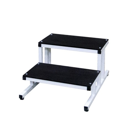 Double rehabilitation step SR-2