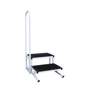 Double rehabilitation step with handrail SRP-2