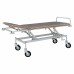 Patient transport trolley with adjustable height TPBR