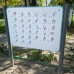 Учебная доска «Язык жестов» KIDIGO
