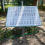Braille Alphabet KIDIGO learning board