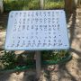 Braille Alphabet KIDIGO learning board
