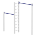 Corner Bar with Ladder