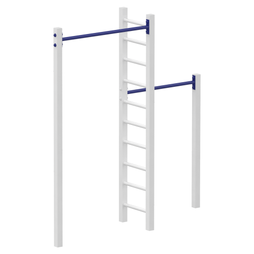 Corner Bar with Ladder