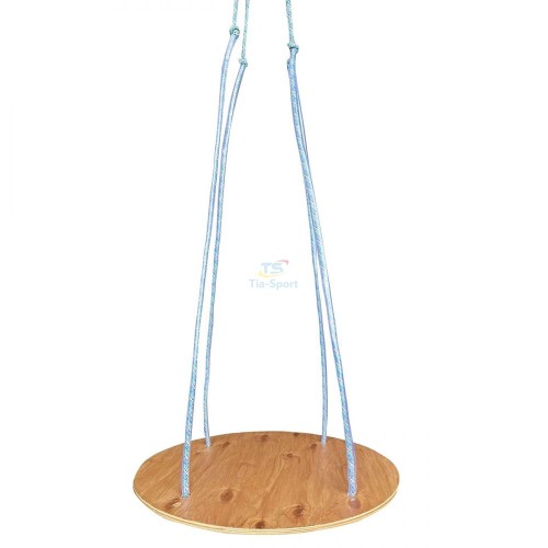 TIA-SPORT Disc sensory swing