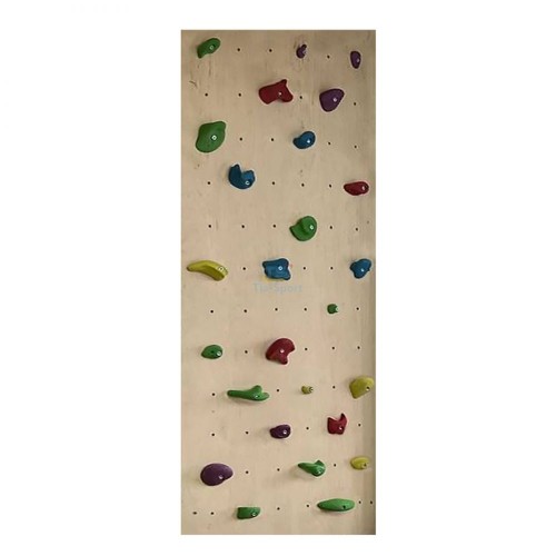 TIA-SPORT climbing wall with holds