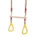 TIA-SPORT children's gymnastic rings