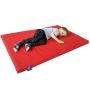 TIA-SPORT sports mat 200x100x8 cm