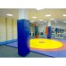 TIA-SPORT PET and faux leather wall protectors for columns