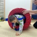 Терапевтический чехол «Паук» для тоннеля Бочка TIA-SPORT