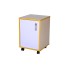Teacher's Cabinet with Door 400x400x590 mm