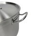 BRILLIS SD13021 Stainless Steel Pot, 15 L