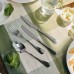 FoREST Meteor Stainless Steel Table Knife 235 mm 870703