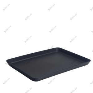 Ємність для викладки BRILLIS HM-Z1023, 280×210×20 мм