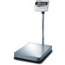 CAS BW Floor Scale, 6-500 kg range