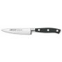 Нож для чистки Arcos серия Riviera 230200 (10 см)