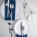 FoREST Impresa Stainless Steel Table Spoon 210 mm 850501