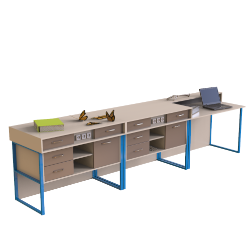 Demonstration Table for Biology Classes Vanilla, Blue, Mocha gloss