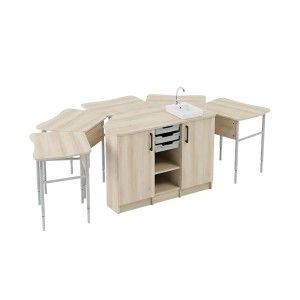 Chemistry Room Work Station (Sink Cabinet and Table)