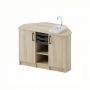 Chemistry Room Work Station (Sink Cabinet and Table)