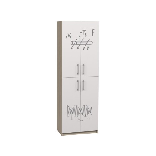 Closed Cabinet with 4 Doors and Physics-Themed Print