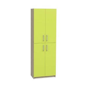 Closed Cabinet with Four Doors for Subject Classrooms