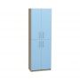 Closed Cabinet with Four Doors for Subject Classrooms