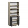 Semi-Enclosed Cabinet with Shelves