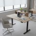 Electric Height-Adjustable Table, Single Motor, with Cable Cover