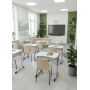 School Desk, Single Student Desk with Wire Mesh Shelf and Cup Opening