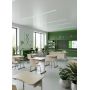 School Desk, Single Student Desk on Flat-Oval Tube, Gr. 4-7