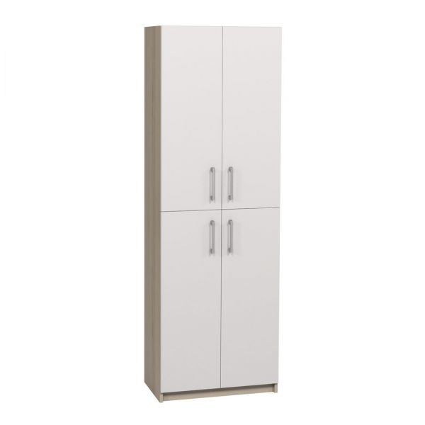 Enclosed Cabinet with 4 Doors for Educational Institutions